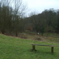 Baggeridge Country Park dog walk, Staffordshire - Dog walks in Staffordshire