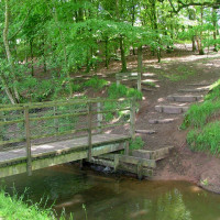 Ladderedge dog walk, Staffordshire - Dog walks in Staffordshire