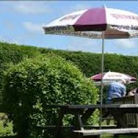 A361 Dog-friendly traditional pub near Barnstaple, Devon - Devon dog-friendly pubs near Barnstaple.jpg