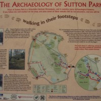 M6 Junction 5 or 7 dog walk, Sutton Coldfield, West Midlands - Dog walks in the West Midlands