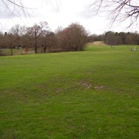 M6 Junction 5 or 7 dog walk, Sutton Coldfield, West Midlands - Dog walks in the West Midlands