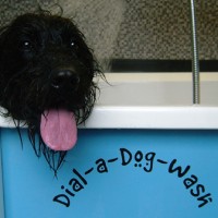 Dial a Dog Wash, Fife, Scotland - Scotland dog service