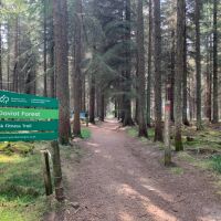 Dog friendly cafe and forest walks just off A9 northbound, Scotland - 17164AB2-2D2C-4711-A8EE-3BC432EAA1B8.jpeg