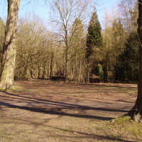 Dorridge Wood local dog walk, West Midlands - Dog walks in the West Midlands