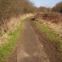 Sheldon Park dog walk, West Midlands - Dog walks in the West Midlands