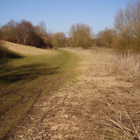 Cole Bank Park local dog walk, West Midlands - Dog walks in the West Midlands