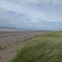Crosscanonby beach dog walks, Cumbria - Lake District dog-friendly beach