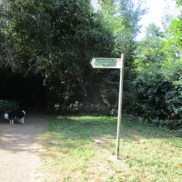 Reservoir dog walk near Upper Boddington, Northamptonshire - Dog walk in Northamptonshire