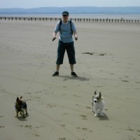 Brean dog-friendly beach, Somerset - Dog walks in Somerset