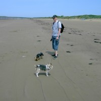 Brean dog-friendly beach, Somerset - Dog walks in Somerset