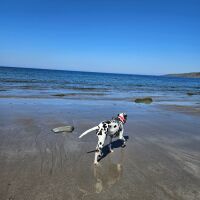 Ardwell Bay Beach, Scotland - 1000113099.jpg