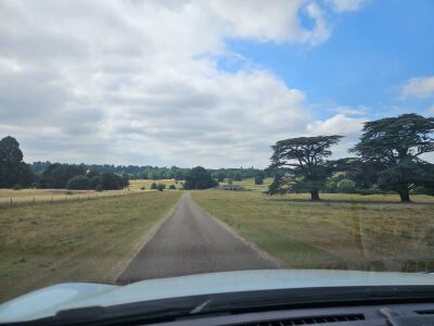 1000120479.jpg - Driving with Dogs