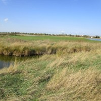 Sheerness country park dog walk, Kent - Kent dog-friendly pubs with dog walks