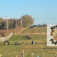 1-Acre Private Dog Walking Paddock, Lincolnshire - meg-k9-paddock.jpg