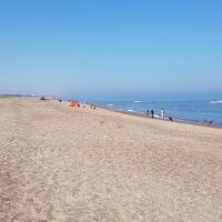 Seaside dog-friendly Bar and Restaurant, Lincolnshire - sutton on sea dog-friendly beach.jpg
