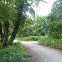 Easy access dog walk near Northwich, Cheshire - Cheshire dog walking places