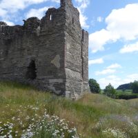 The quiet ruins of Hopton Castle, Shropshire - Dog walk near Ludlow