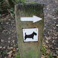 Blean Woods dog walk, Kent - Kent dog-friendly dog walk and dog-friendly pub