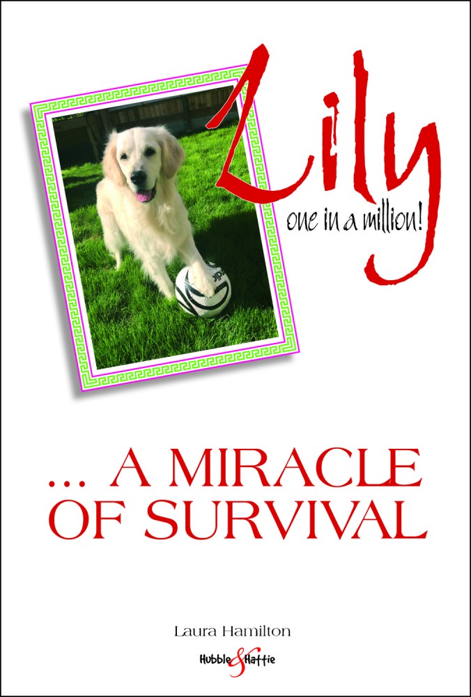 Lily: one in a million ... a miracle of survival