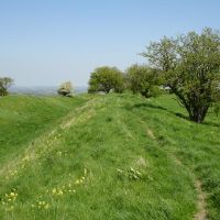 Dog-friendly pub with B&B and a walk on the Ridgeway, Oxfordshire - Dog walk and dog-friendly B&B.jpg