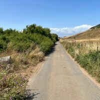 Coastal walk with dog-friendly pub, Dorset - Lane to the dog-friendly beach