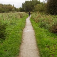 Shevington local dog walk, Lancashire - Dog walks in Lancashire