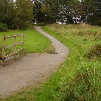 Shevington local dog walk, Lancashire - Dog walks in Lancashire