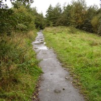 Shevington local dog walk, Lancashire - Dog walks in Lancashire