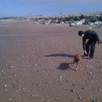 Towyn dog-friendly beach near Rhyl, Wales - Dog walks in Wales