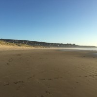 Harlech dog-friendly beach, Wales - 2C9CC2D6-E056-4318-B0C3-947F5644B49E.jpeg