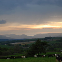 A5 Rhydlydan dog-friendly pub, Wales - Dog walks in Wales