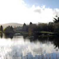 A5 Rhydlydan dog-friendly pub, Wales - Dog walks in Wales