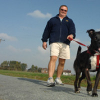 Jeskyns Community Woodland and Greenspace dog walk, Kent - Dog walks in Kent