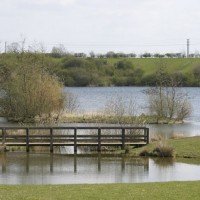 Crown Lakes Country Park dog walk, Cambridgeshire - Dog walks in Cambridgeshire