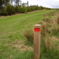 Macclesfield Forest dog walks, Cheshire - Dog walks in Cheshire