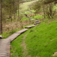 Macclesfield Forest dog walks, Cheshire - Dog walks in Cheshire