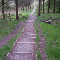 Macclesfield Forest dog walks, Cheshire - Dog walks in Cheshire