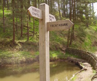 Macclesfield Forest dog walks, Cheshire - Dog walks in Cheshire