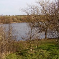 Sandwell Valley dog walk, West Midlands - Dog walks in the West Midlands