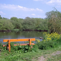 Kingsbury Water Park dog walks, Warwickshire - Dog walks in Warwickshire