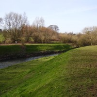 Sandwell Valley dog walk, West Midlands - Dog walks in the West Midlands