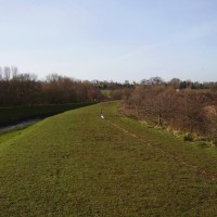 Sandwell Valley dog walk, West Midlands - Dog walks in the West Midlands