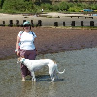 Appley dog-friendly beach, Isle of Wight - Dog walks on the Isle of Wight