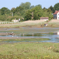Yar Estuary Circular Walk, Yarmouth, Isle of Wight - Dog walks on the Isle of Wight