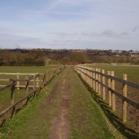 M5 Junction 3 Woodgate dog walks, West Midlands - Dog walks in the West Midlands