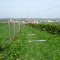 Coeur de Flandre doggie stop, France - Image 3