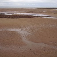 A1 dog-friendly beach near Dunbar, Scotland - Dog walks in Scotland