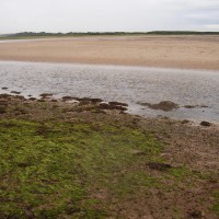 A1 dog-friendly beach near Dunbar, Scotland - Dog walks in Scotland