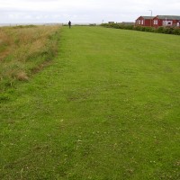 A1 dog-friendly beach near Dunbar, Scotland - Dog walks in Scotland