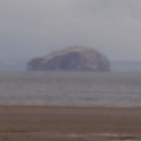 A1 dog-friendly beach near Dunbar, Scotland - Dog walks in Scotland